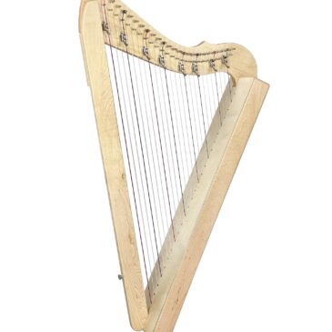 Harp Taster Lesson – Wednesday 12th February
